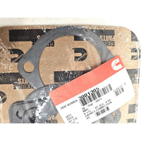 Cummins 3001305 Aftercooler Connection Gasket KTA19 K19 Pack of 8